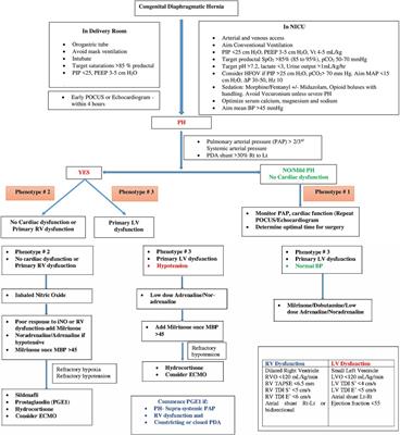 Diagnosis, management and long term cardiovascular outcomes of phenotypic profiles in pulmonary hypertension associated with congenital diaphragmatic hernia